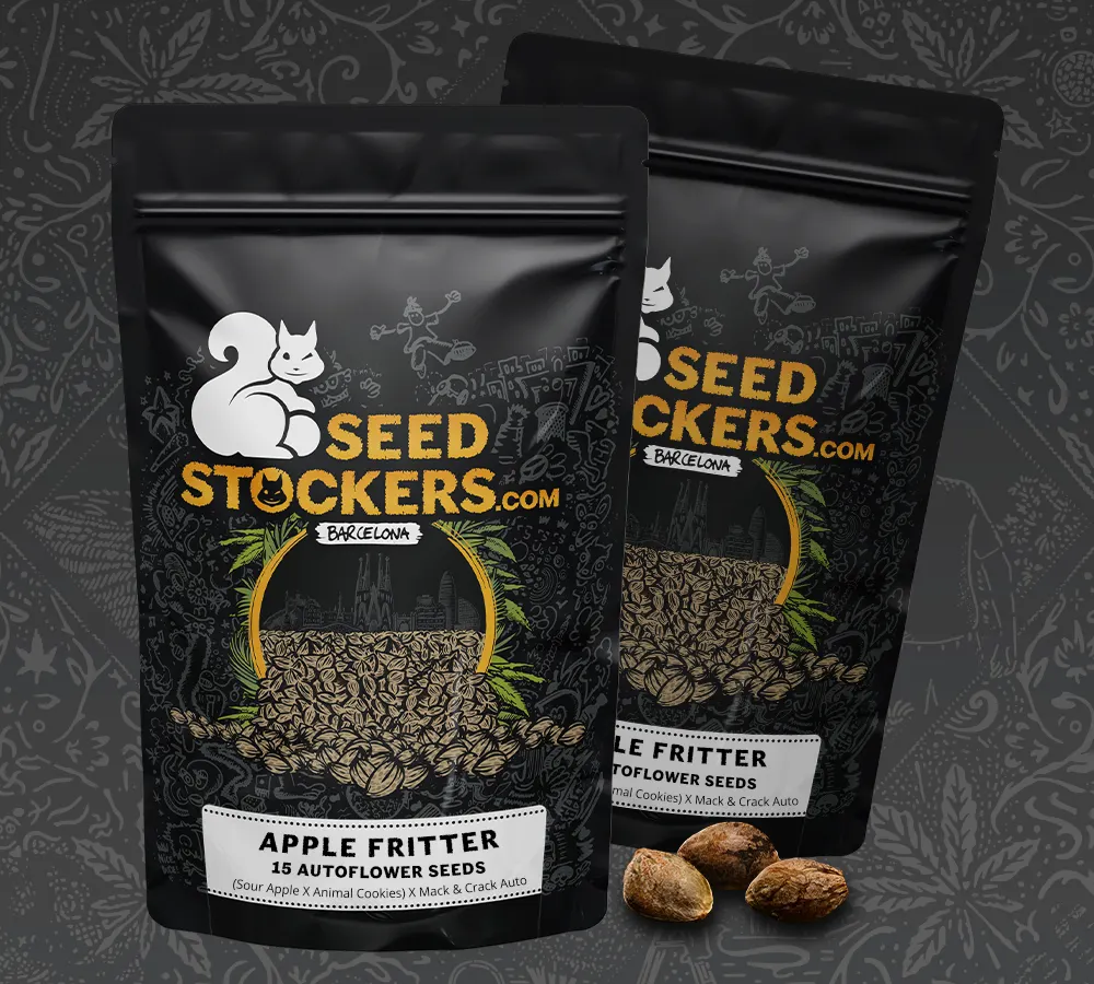 Apple Fritter Autoflowering Collectible Seeds