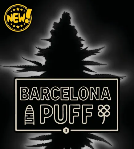 Barcelona Puff© Collectible Autoflower Seeds