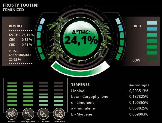Frosty Tooth© Feminized Collectible Seeds