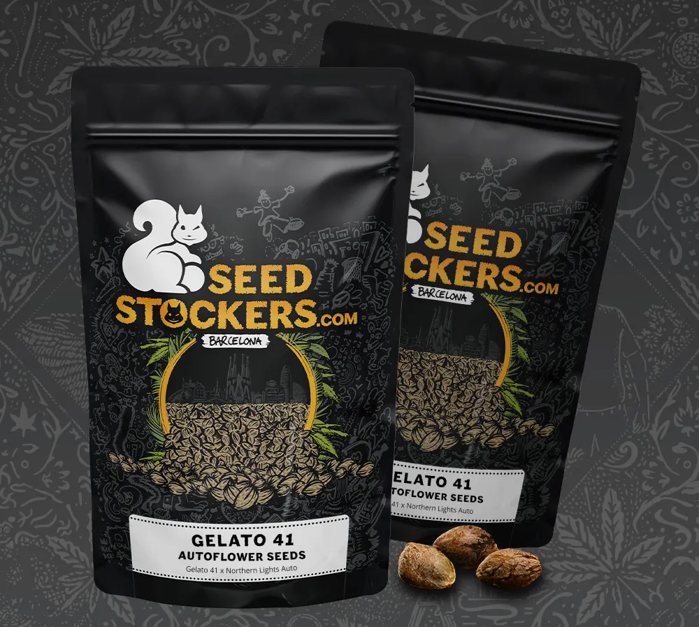 Gelato 41 Autoflowering Collectible Seeds