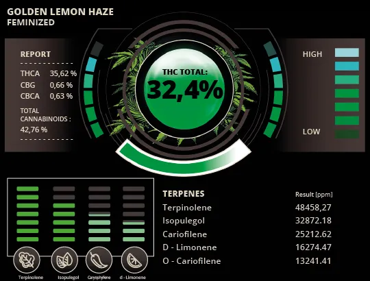 Golden Lemon Haze Feminized Collectible Seeds