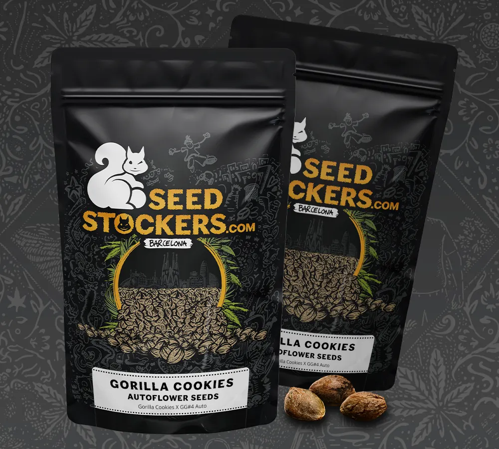 Gorilla Cookies Autoflowering Collectible Seeds
