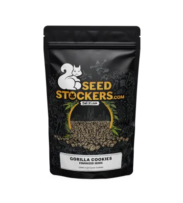 Gorilla Cookies Feminized Collectible Seeds