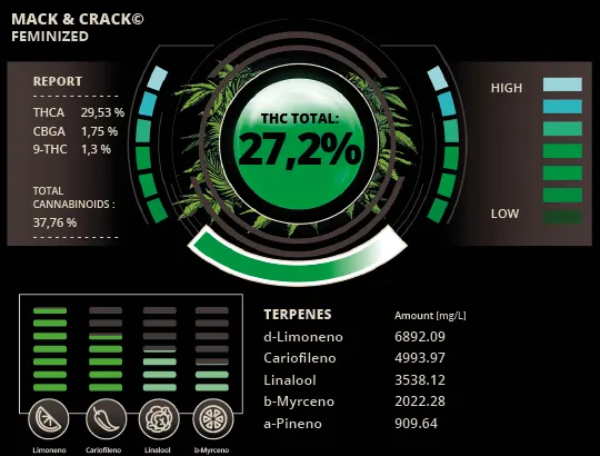 Mack and Crack© Collectible Feminized Seeds