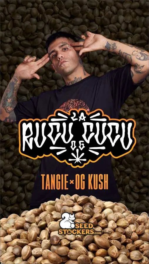 Rucu Cucu OG© Feminized Collectible Seeds