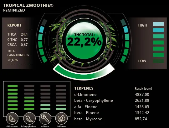 Tropical Zmoothie© Feminized Collectible Seeds